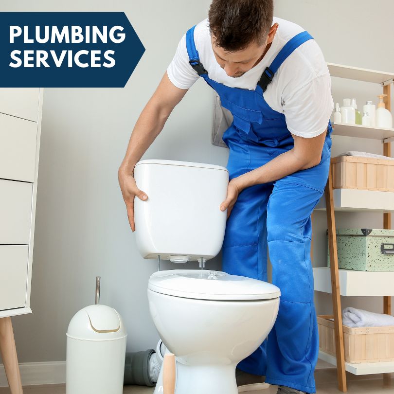 Plumbing Company in Hackberry, AZ